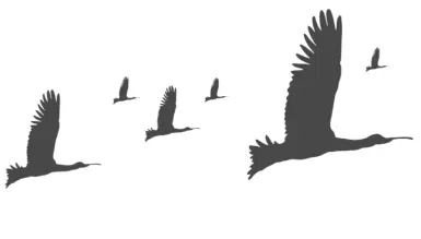 home-why-winksell-section-image-3