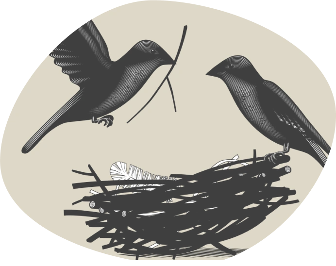 support-banner-image